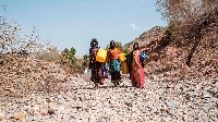 Women carrying jerrycans in search of water