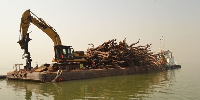 File photo of tree stumps