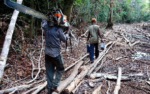 A checkpoint have been opened to check illegal logging in the country