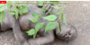 Image of dead man identified as Kofi Obed Image of dead man identified as Kofi Obed
