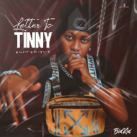 Artwork for Letter to Tinny