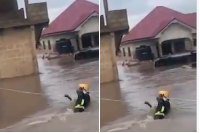 A screenshot of the footage