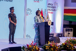 Professor Jane Naana Opoku Agyemang Vp  