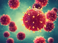 The COVID-19 virus is transmitted through direct contact with infected persons