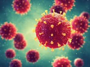 A photo of the deadly coronavirus