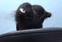 The young woman shared her ordeal after she was trafficked