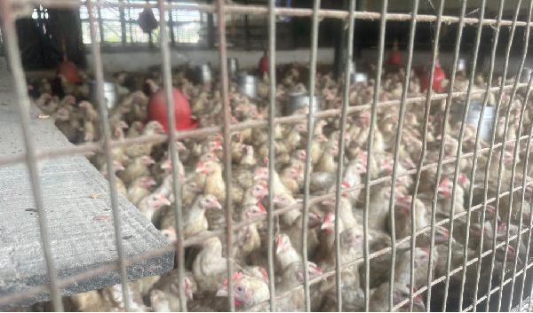 The initiative marks another step toward strengthening livelihoods, boosting food security