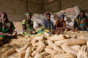 Warehouse to be used for processing grains