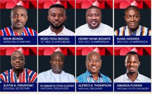The winners of NPP elections to lead the party in the 2028 elections
