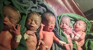 Bedriya Adem's Babies.png