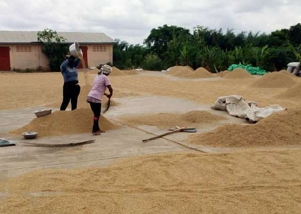 The action is being organised with strong backing from key agricultural bodies