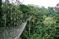File photo of Kakum Park