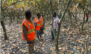 The outbreak happened on Friday January 30, 2026