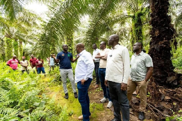 Finance Minister of on tour of Benso Oil Palm Plantation