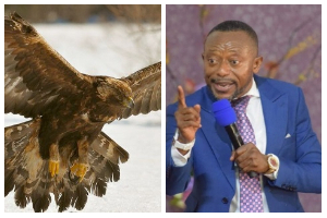 Rev Owusu-Bempah keeps 10 live eagles in his home