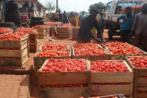 Crates Of Tomatoes
