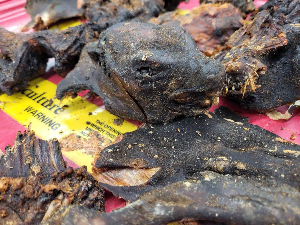 Bush meat among items barred from entering the US over health and safety concerns