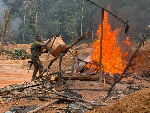 NAIMOS Task Force intervenes in violent clash at Atiwa Forest Reserve