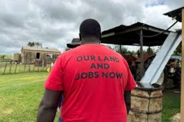 A supporter of the Economic Freedom Fighters,a left-leaning group, walks on a farm