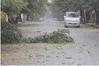 Fallen branches are seen on a street as Cyclone Freddy is due to hit Mozambique again, in Quelimane