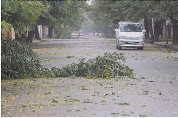 Fallen branches are seen on a street as Cyclone Freddy is due to hit Mozambique again, in Quelimane