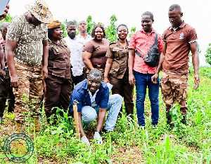 Frank Annoh-Dompreh planting a tree on Green Ghana Day