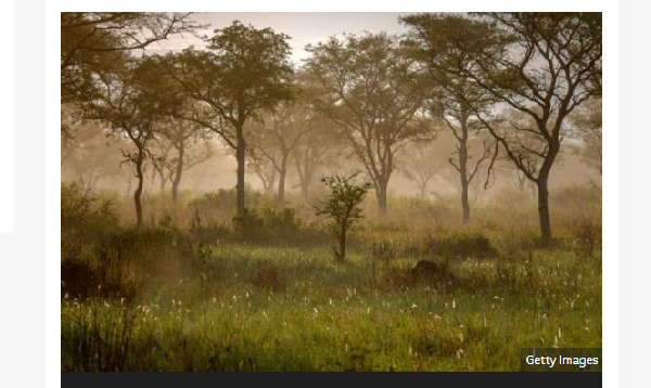 Uganda's Queen Elizabeth National Park borders DR Congo