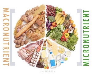 Globally, up to 2 billion people do not get enough essential vitamins and minerals from food