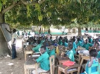 Schoolchildren learning under trees