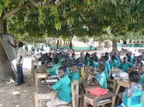 Pupils studying under a tree
