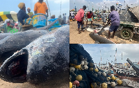 Ghana is a fish-eating nation