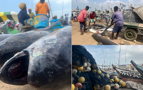 Ghana is a fish-eating nation