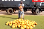 Watch as Special Operations team arrests suspect over GH¢80,000 worth of dried leaves