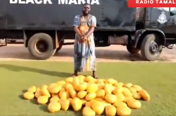 Watch as Special Operations team arrests suspect over GH¢80,000 worth of dried leaves