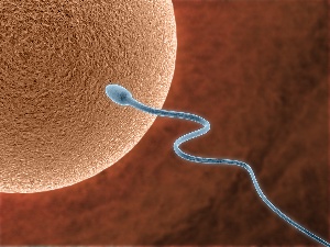 How will the society see and treat the child born with a donated egg or sperm?