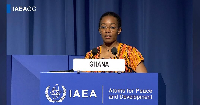 Dr Zanetor Agyeman-Rawlings is the Minister for Environment, Science and Technology