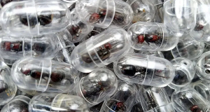 The man was found with a large consignment of live ants in his luggage bound for China in March The man was found with a large consignment of live ants in his luggage bound for China in March