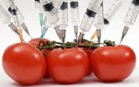 File photo: Genetically Modified Foods