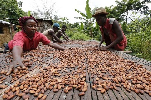 Ghana is a major producer of cocoa