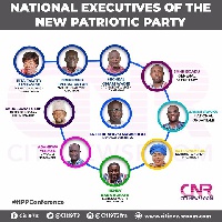 New NPP executives