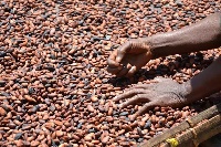Cocoa is a key export commodity for Ghana