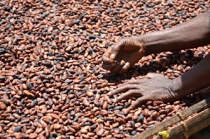 The National Dialogue was launched last March by the EU delegation and COCOBOD