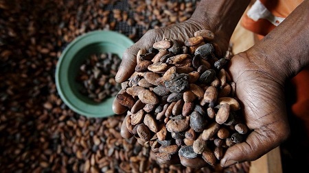 Government to support Coffee Sector