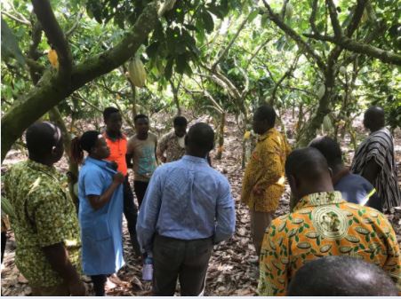 COCOBOD CEO toured some cocoa farms and interacted with the farmers