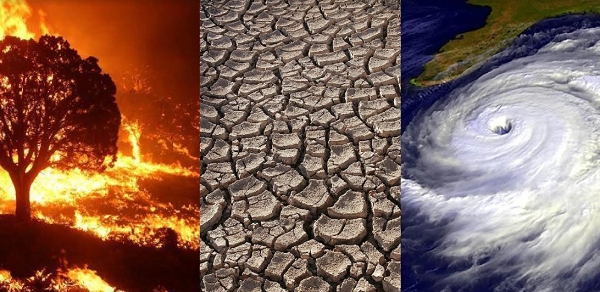 Effects of climate change