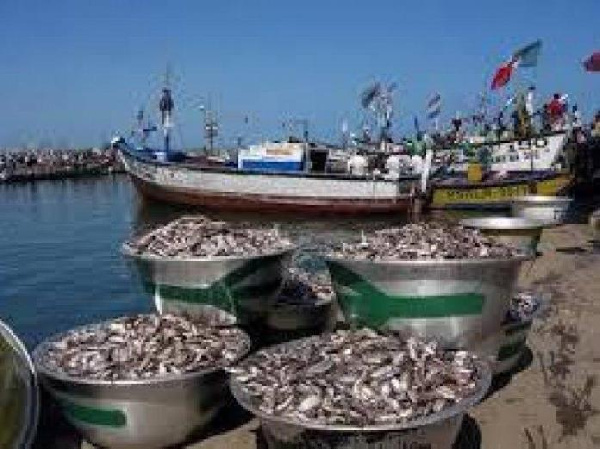 Fight illegal fishing alongside closed-season to maximise gains – Stakeholders