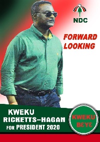 George Kweku Ricketts-Hagan is contesting to lead the NDC in the 2020 general elections