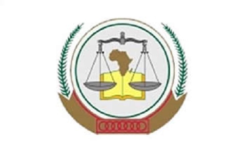 The African Court is composed of eleven elected judges from Member States