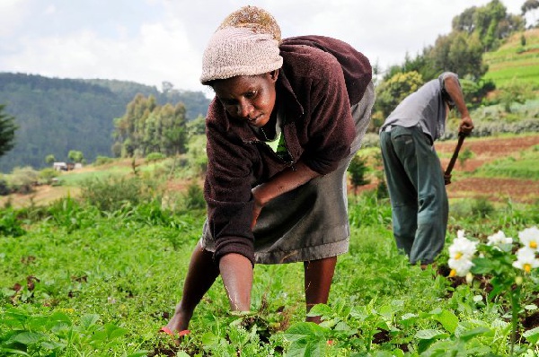 The DCE hailed farmers for working hard to feed the nation and to keep the economy going