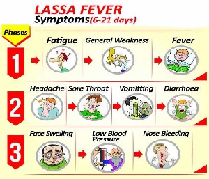 Lassa Fevernew